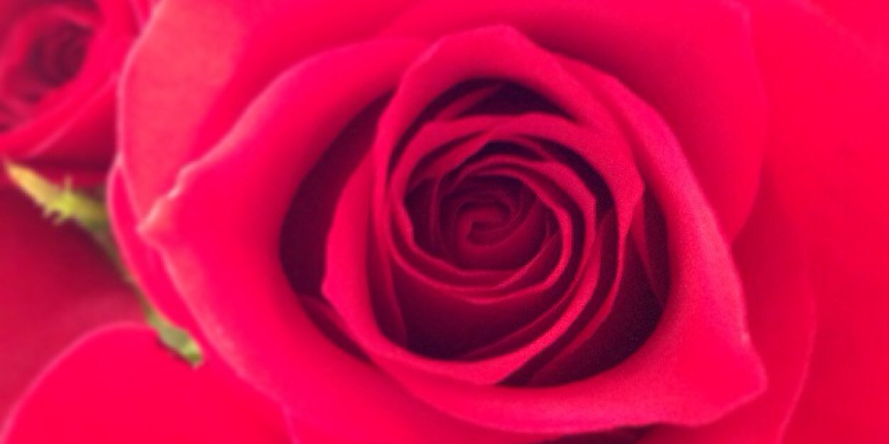 itsCarlyM_'s profile banner image