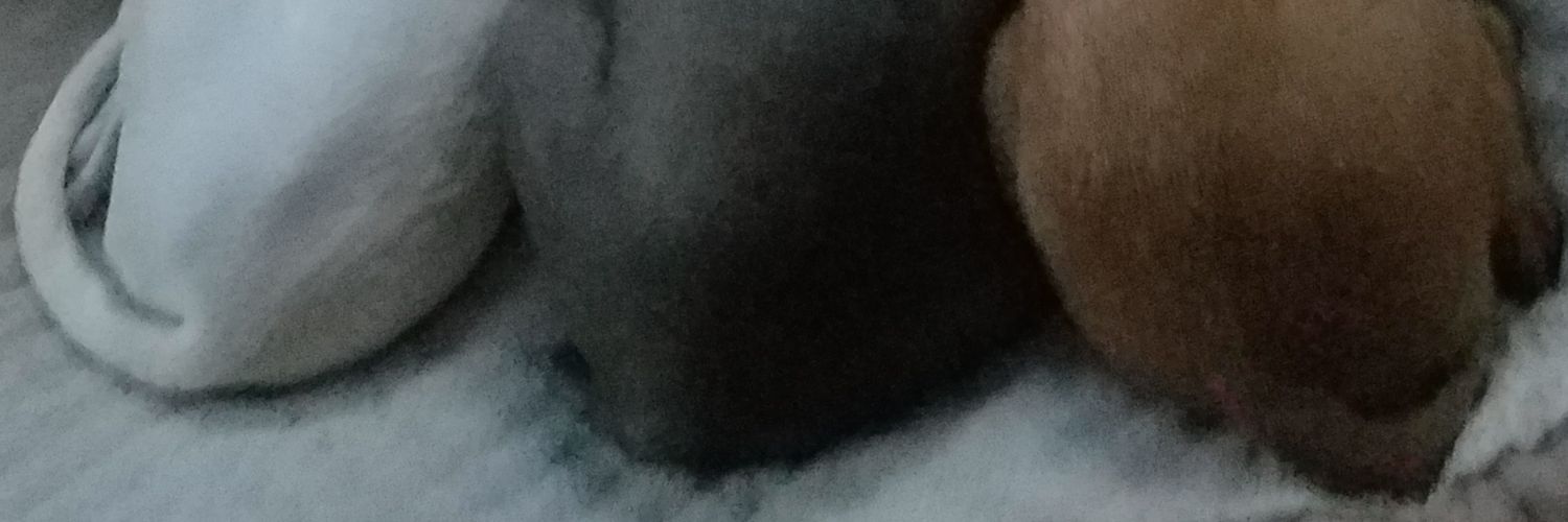 jeff_d_kelley's profile banner image
