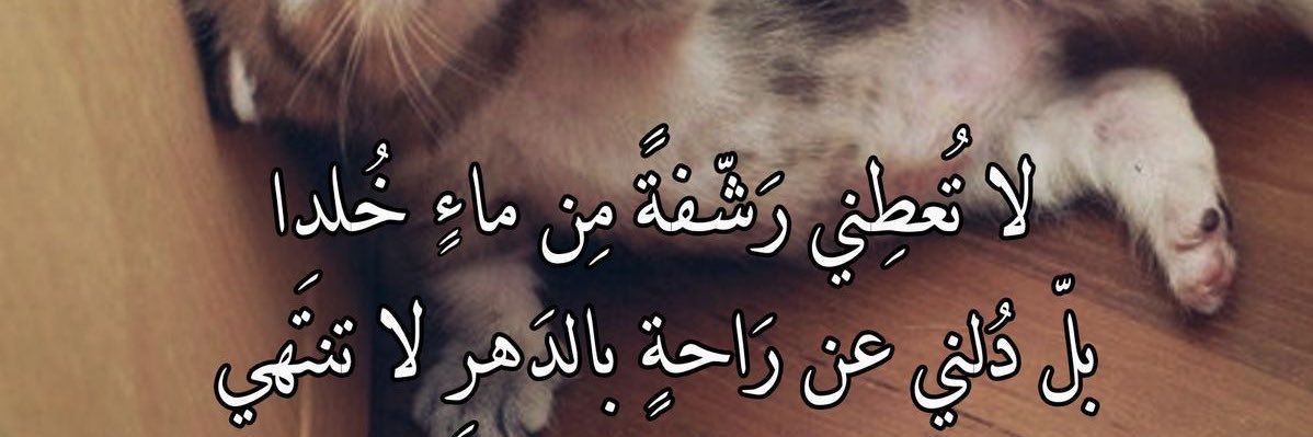 s0mewhereElse's profile banner image