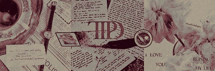 ᅟᅟ ‍‍‍━━╋━ᅟᅟ ‍‍‍𝐒𝐎𝐏𝐇𝐈𝐄┈͜ᴹᴵᴷᴬᴱᴸˢᴼᴺᅟᅟ ‍‍‍. banner