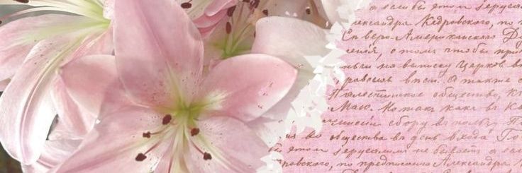 caca banner