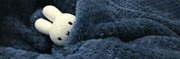 raven 🐦‍⬛ banner