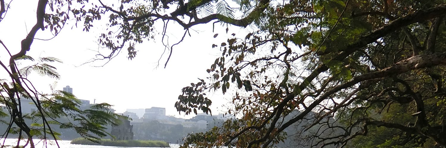 Bella Nè banner