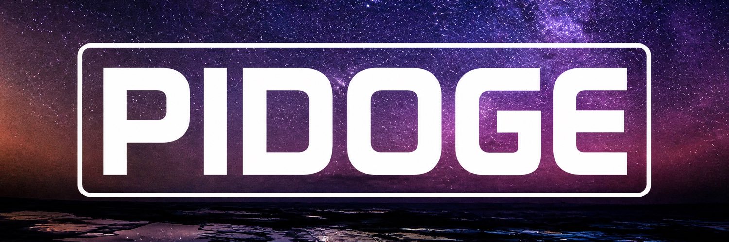 Pi Doge banner