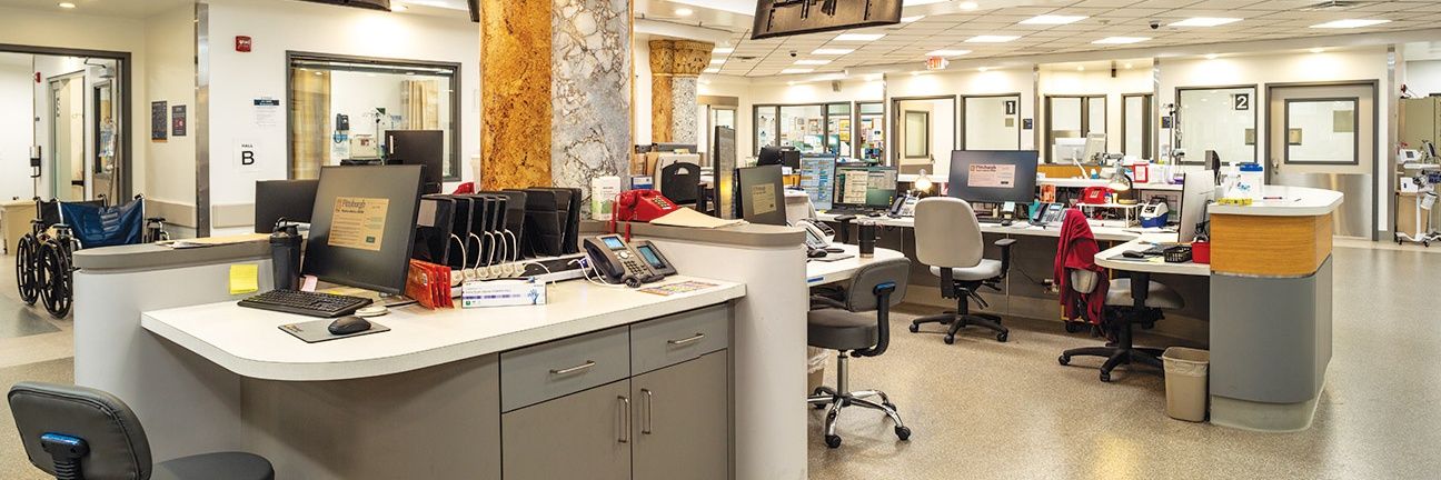 gary the rat | stuck in the pitt banner