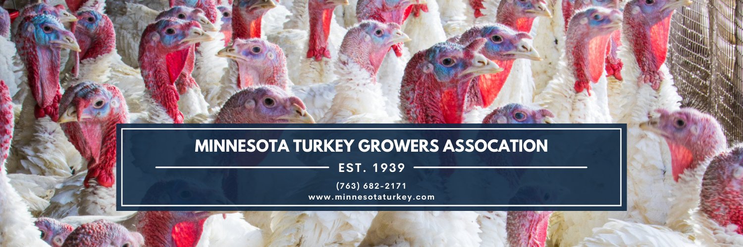 Minnesota Turkey banner