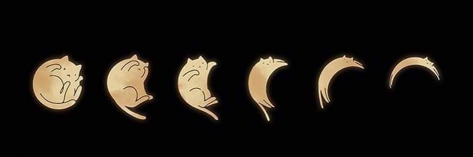 bdette203's profile banner image