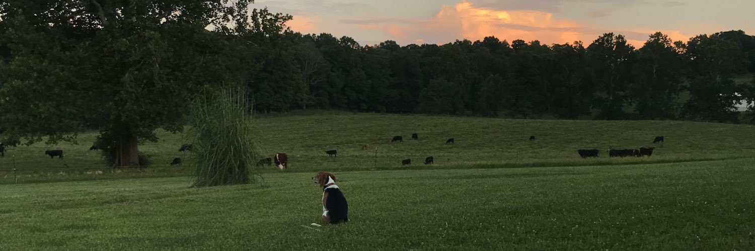 Tanner_C's profile banner image