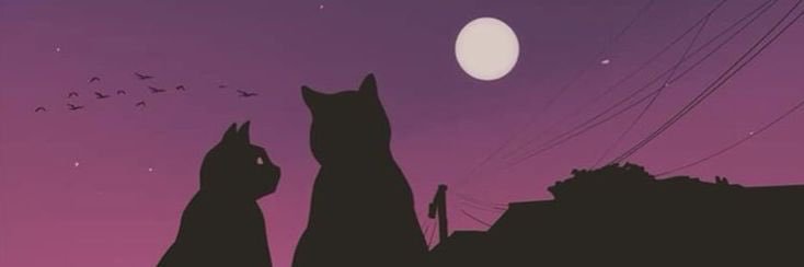 Natalia Folan banner