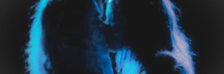 blueblueoa's profile banner image