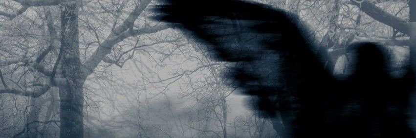 🪽ℜ𝔦𝔬𝔱🪽 banner