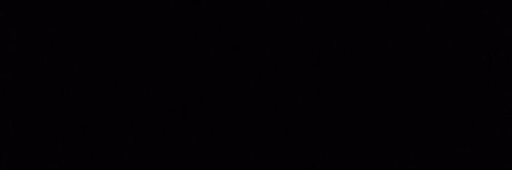 noelle banner