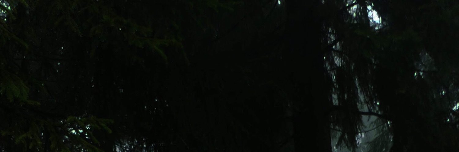 Basil banner
