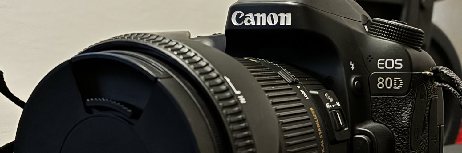 カゲだった人📷 banner