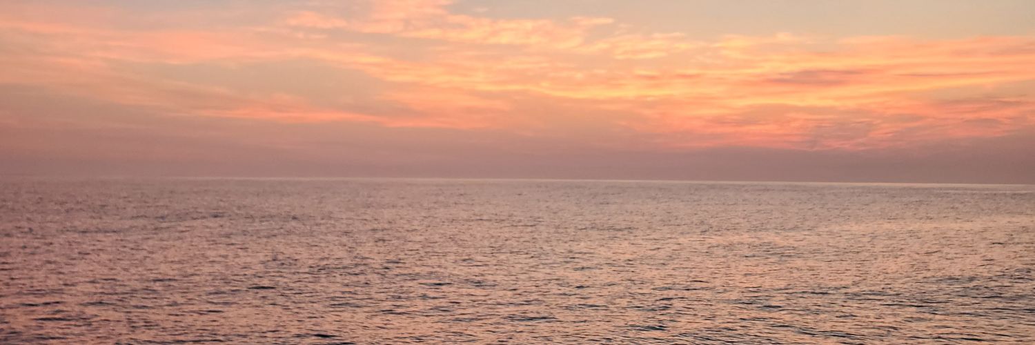しいなたけし banner