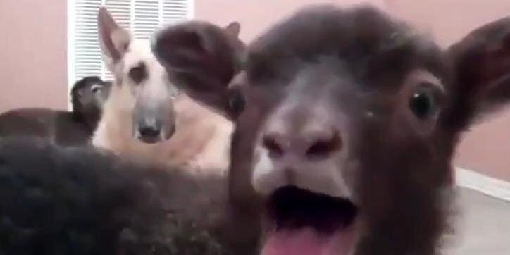 @sbeyer@osna.social banner