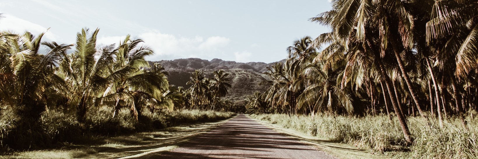 devingreco_'s profile banner image