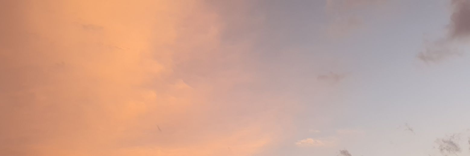 mansamtz's profile banner image