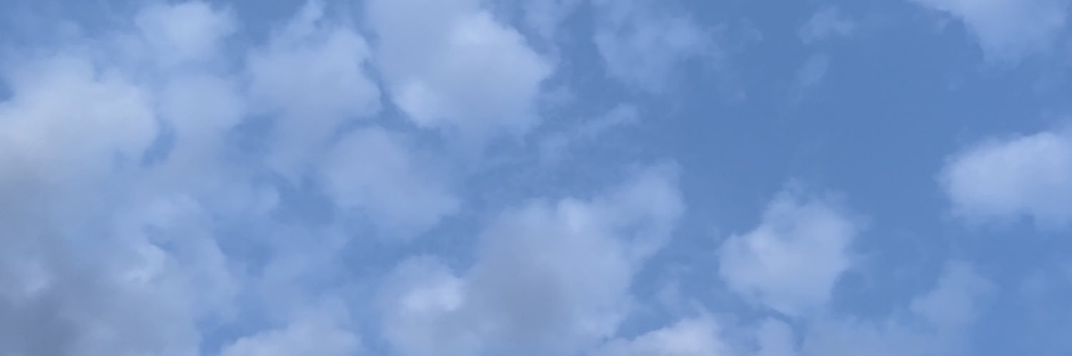 mady banner