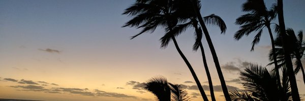 carlo_curino Profile Banner