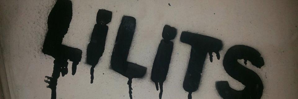 LiLiTS banner