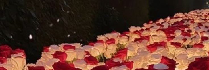 Naina448995's profile banner image