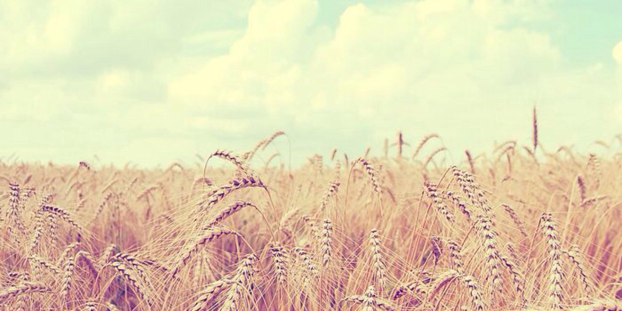 jace_arledge's profile banner image