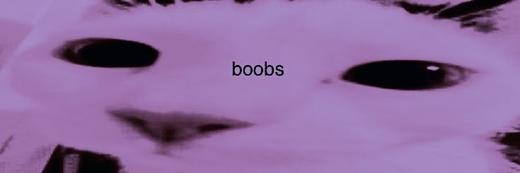 𝐩𝐨𝐢𝐬𝐨𝐧 𝐠𝐢𝐫𝐥. banner