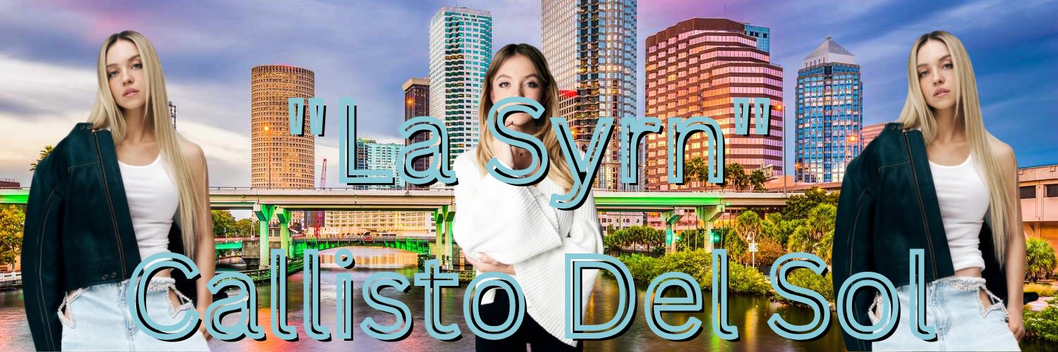 La Syrn banner