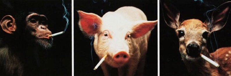 Jalen Hurts Bulge Enjoyer banner