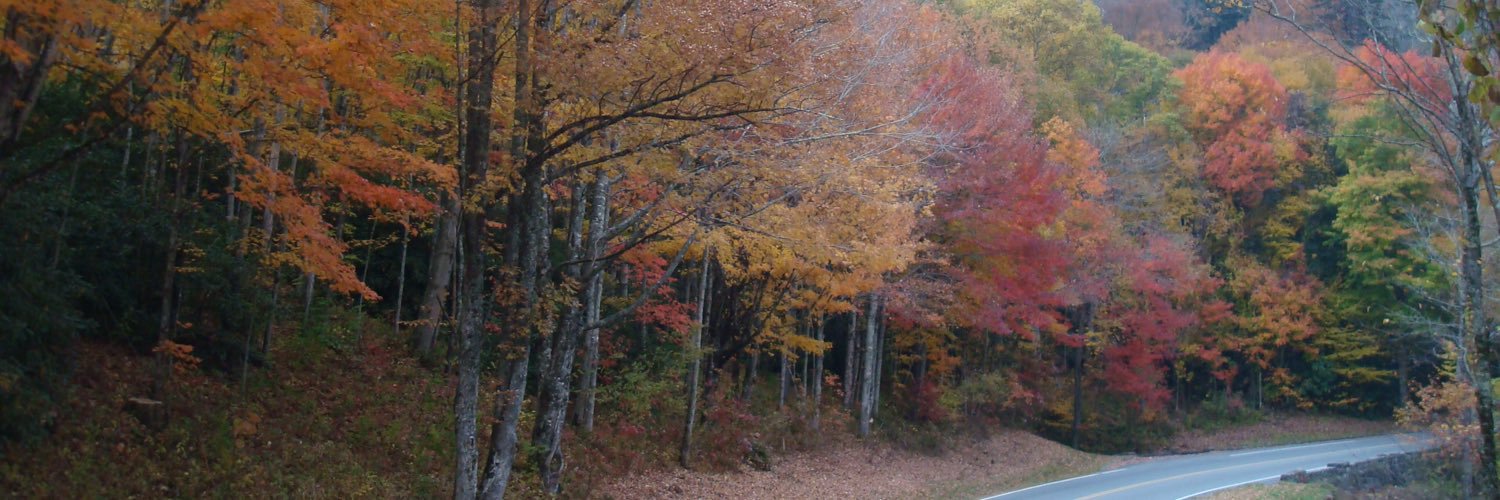 srsmith41's profile banner image