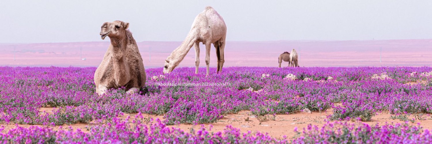 من الآخر banner