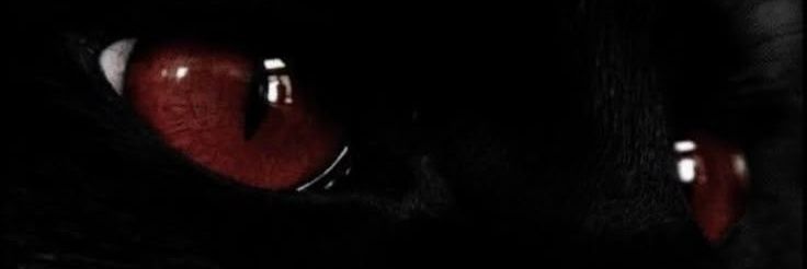 𝑹𝒂𝒆. banner