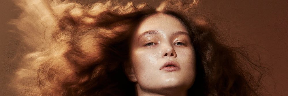 Davide Barbieri banner