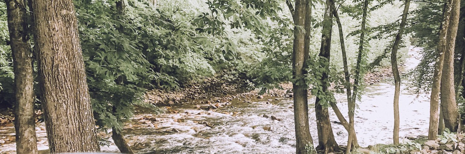 MrsCollier_525's profile banner image