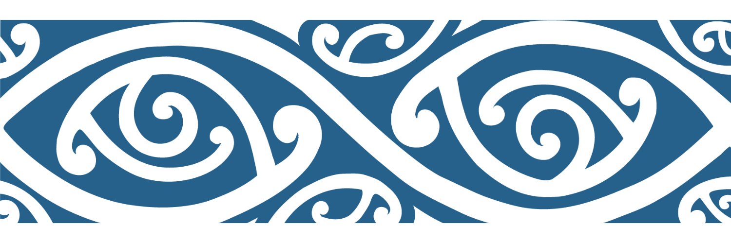 NZTAIC's profile banner image