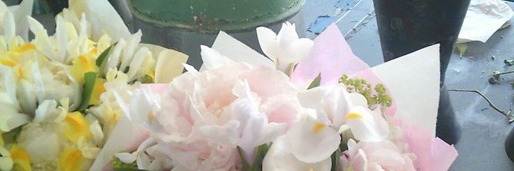 iby. 🐝 ²⁷ banner