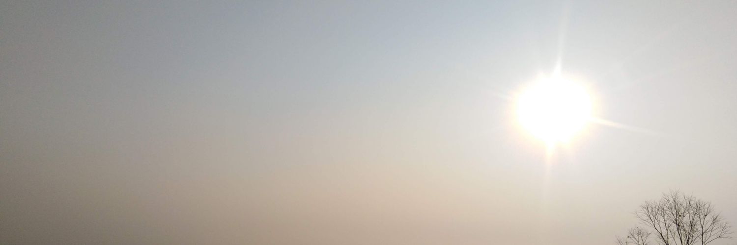 Mymint banner
