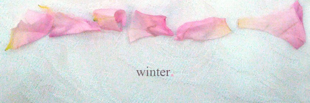 Savv banner