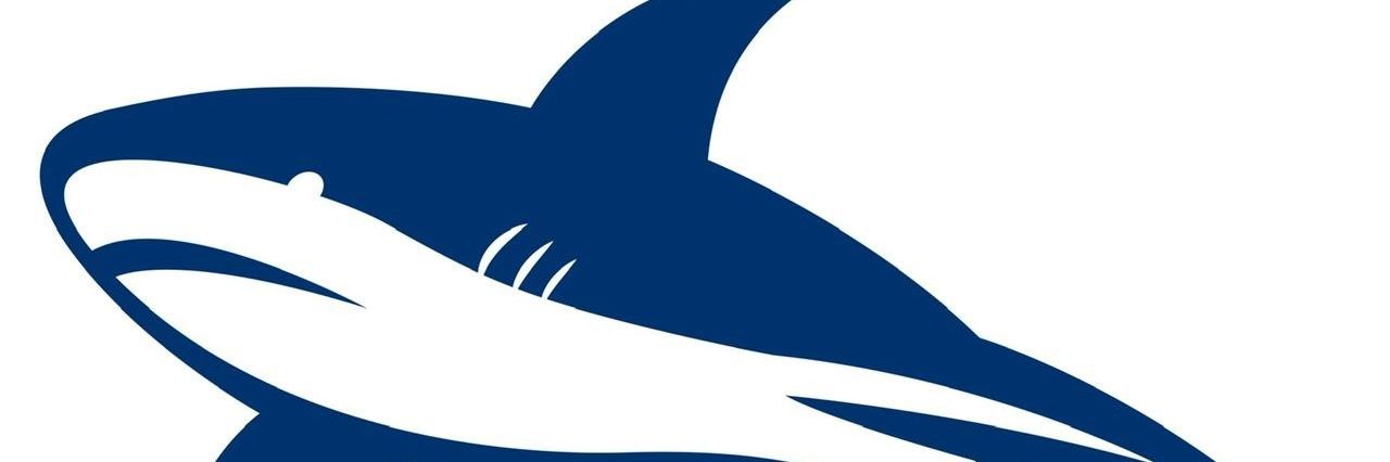 sr_beisbol's profile banner image