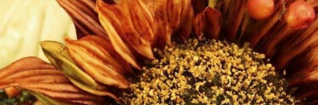 digginoncookie's profile banner image