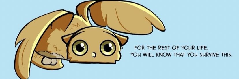 momo banner