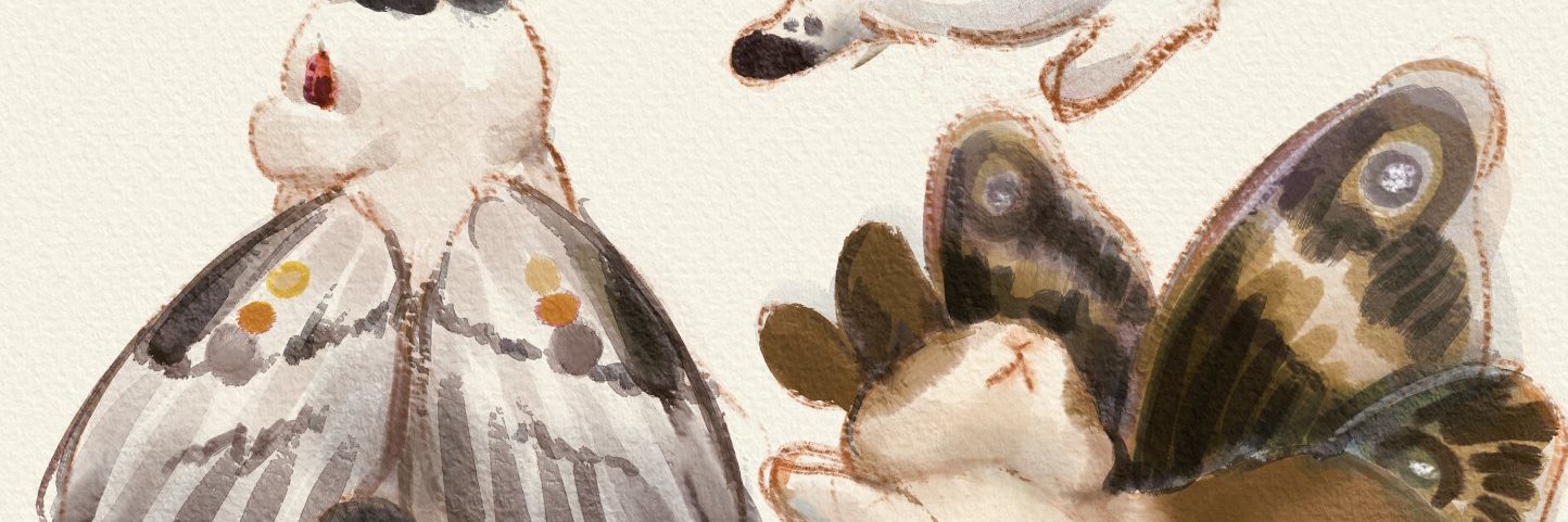 helloimsolar's profile banner image