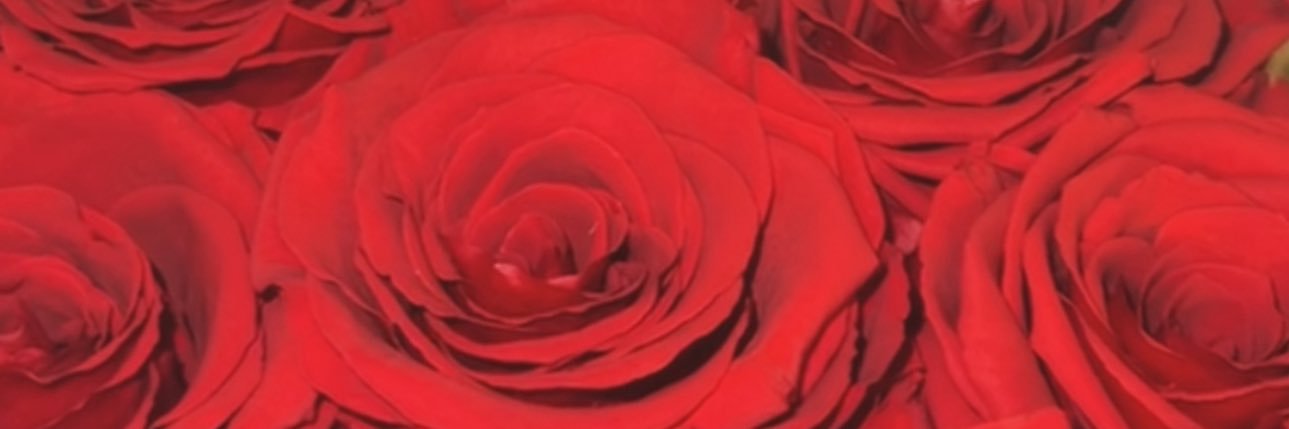 💐🌺 banner