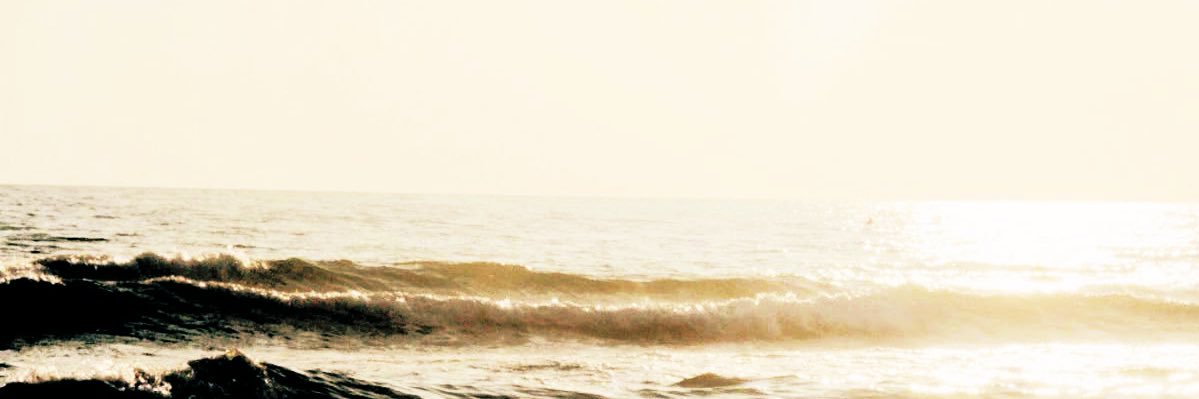 charabella ²⁹ banner