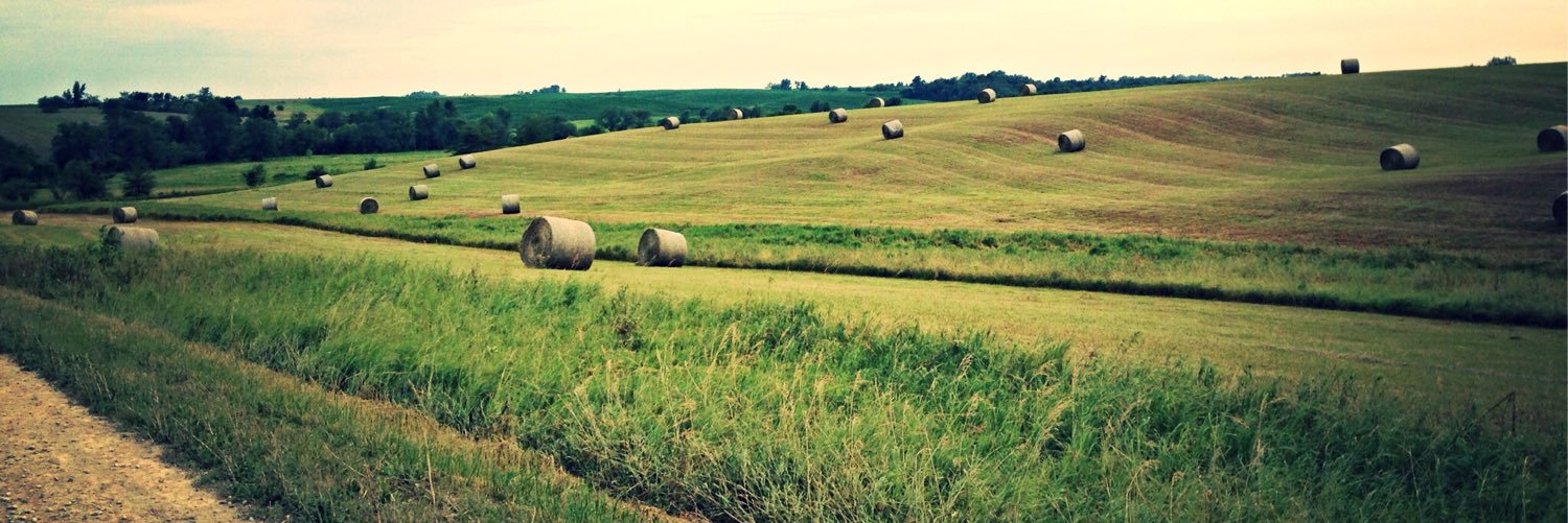 craighaubrich's profile banner image