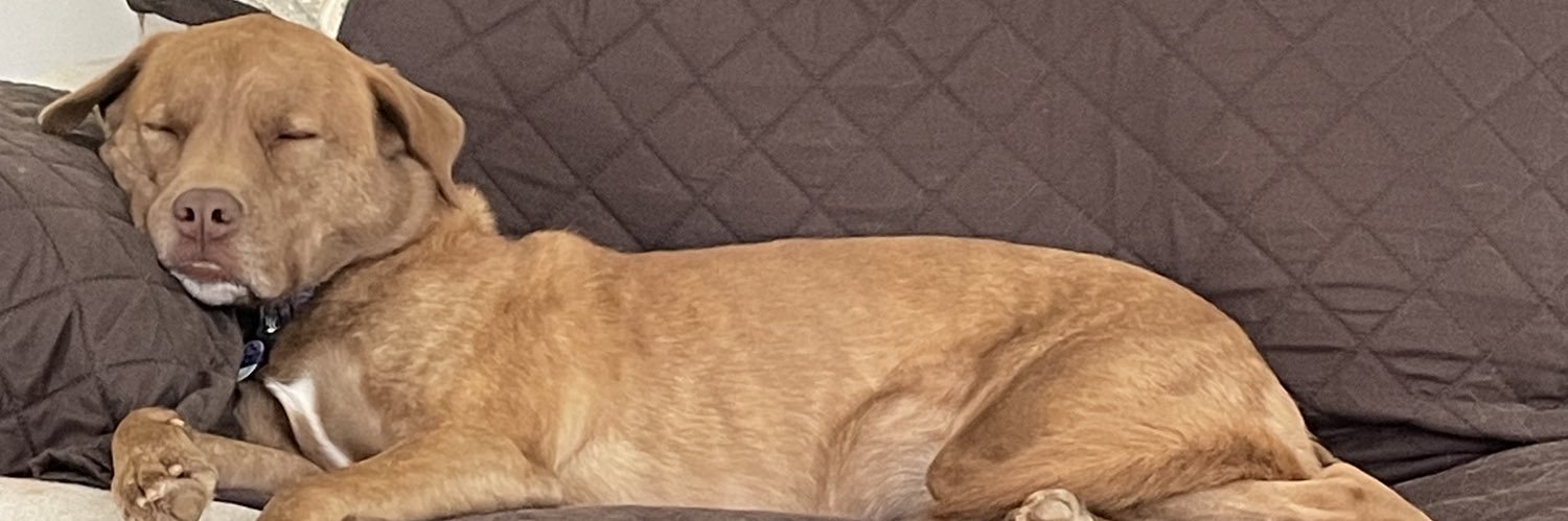 BillyHoyle22's profile banner image