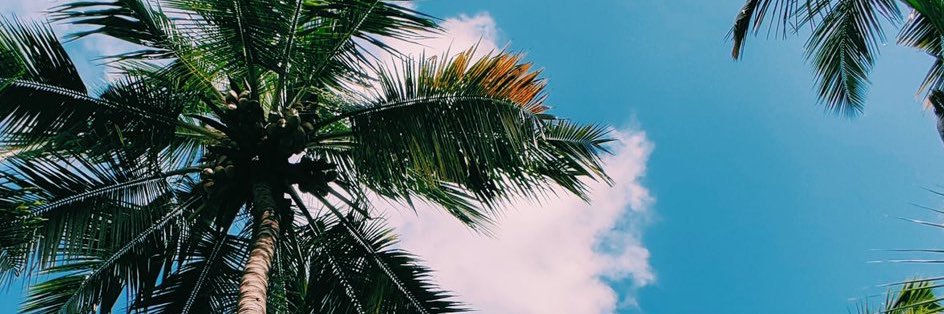 guivbo🇪🇪 banner