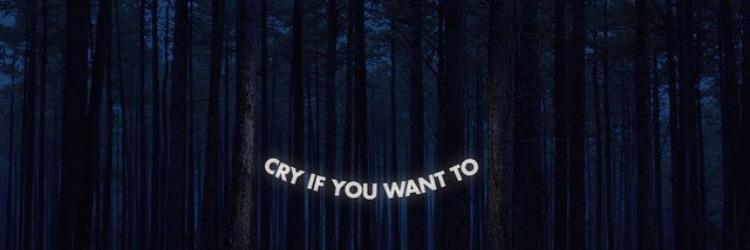 brittany mitchell banner