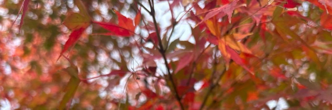 粉 banner